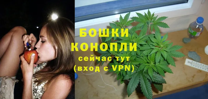 цены наркотик  Никольское  Шишки марихуана SATIVA & INDICA 